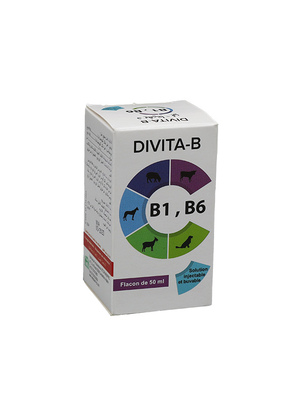 Divita-B-fr