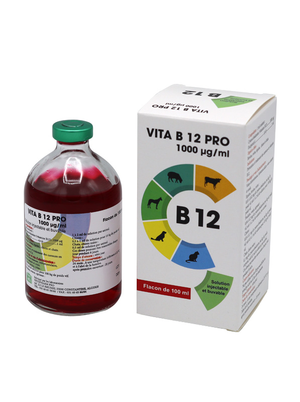 vita-b12-1