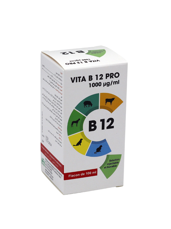 vita-b12-3