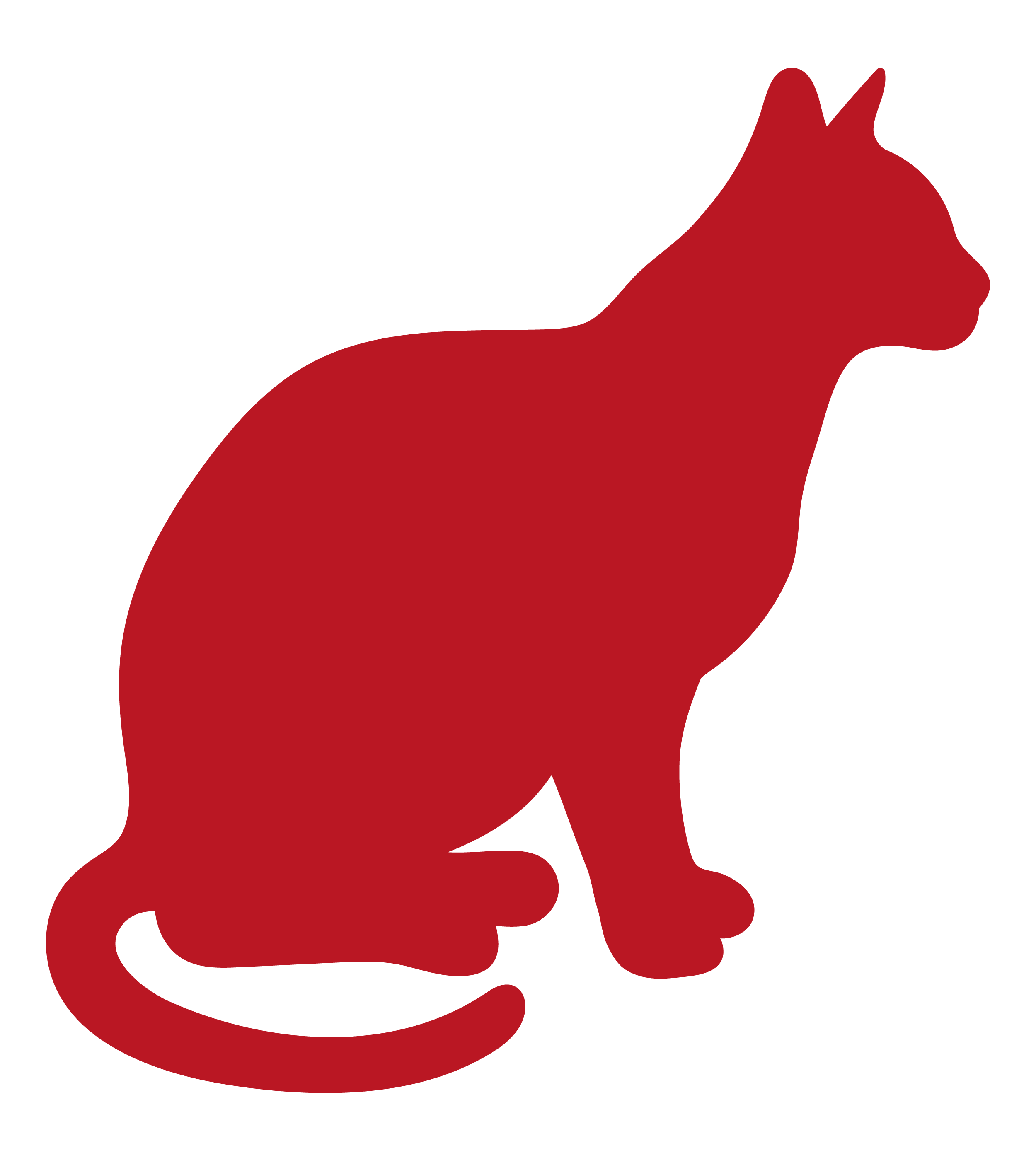Cat badge