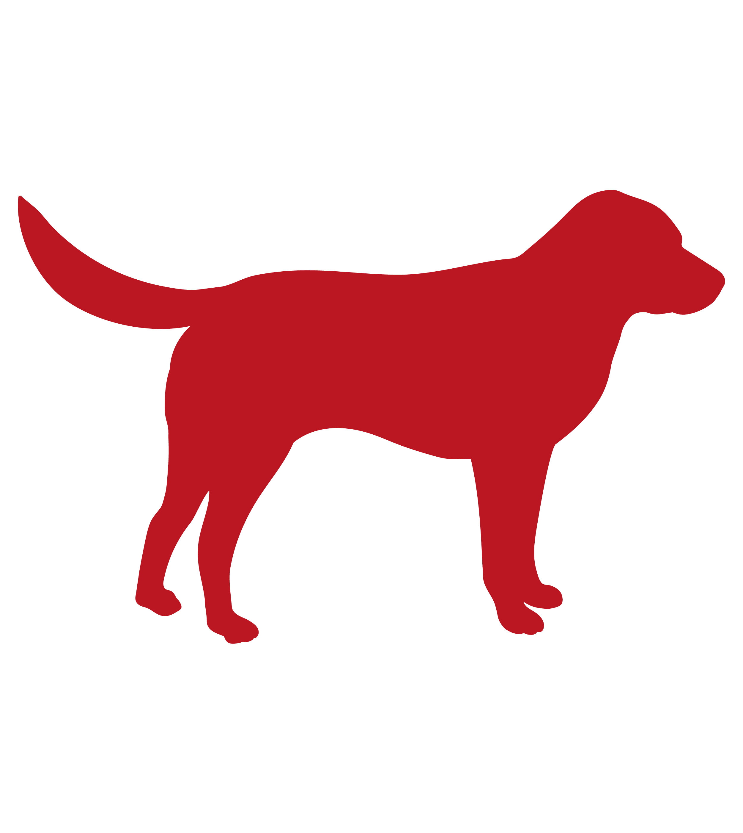 Dog Badge